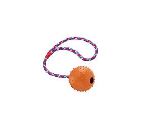 Balle en caoutchouc avec cloche et corde pour chien Nobby Pet Multicolore 7 cm