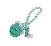 Balle en caoutchouc avec corde pour chien Nobby Pet Dental Line Turquoise 7x30 cm
