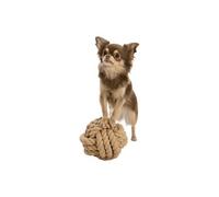 Dog Copenhagen Trixie Accessoire Maison de Toilette pour Chat Bac à Litière Classic 37 × 15 × 47 cm 5 Unités