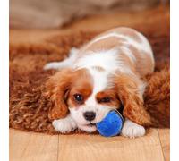 Balle flottante en TPR indestructible pour chien avec texture osseuse (bleu | Construction en TPR indestructible et durable, couineur interactif intégré, design flottant dans l'eau