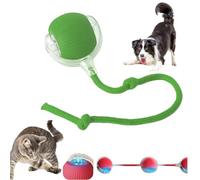 Balle Interactive Chat,Chien Jouet Interactif Balles Interactives Domestique Activées par le Mouvement de Roulement Automatique Intelligent Actives Intelligentes à Rouler électriques (1pc-vert)