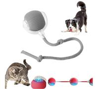 Balle Interactive Chat,Chien Jouet Interactif Balles Interactives Domestique Activées par le Mouvement de Roulement Automatique Intelligent Actives Intelligentes à Rouler électriques (1pc-gris)