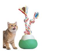 Balle interactive pour chats - Balle de jouets interactifs | troisième génération pour chat agile et mobile avec queue en maille élastique intérieure et extérieure entraînement