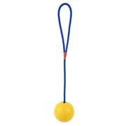 Balle jouet pour chien - 6 x 6 cm - Boules résistantes aux morsures pour animaux de compagnie, corde interactive, lanceurs d'entraînement | Jouets à mâcher couineurs pour les petites, moyennes et