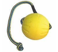 Starmark Jouet pour chien Swing N Fling 8 x 6 x 28 cm