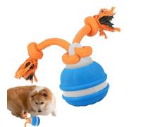 Balle pour chien | Jouet électrique intelligent et amusant | Jouet à boule roulante pour chiens | Pour entraînement, exercice, divertissement, jeu intérieur et extérieur, et jouer à chercher