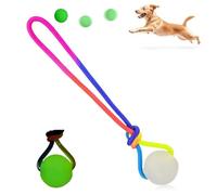 Balle pour chien pour les morsures intenses | Corde phosphorescente - Balle en caoutchouc pour chiens avec des habitudes de mastication intenses, petites, moyennes et grandes races de chiens, exercice