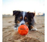 Waboba – Balle pour chiens Tailwind – Taille unique – Orange