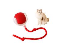Balle roulante - Jouet interactif pour chat et chien - Automatique - Rechargeable - Avec lumière