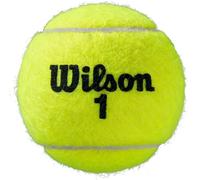 Balle Wilson pour le tennis Roland Garros All Court 4 P7994