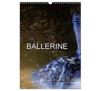 BALLERINE (Calendrier mural 2027 DIN A3 horizontal), CALVENDO calendrier mensuel: Photos de cours de ballet et de chaussons de danse.