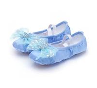 Ballerines Femme Chausson Belle Princesse Danse Chaussures de Ballet à Semelle Souple Enfants Filles Griffe de Chat Ballerine Chinoise Chaussures d'exercices(Ice Blue,35)