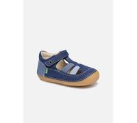 Ballerines Kickers Sushy pour 25 Bleu