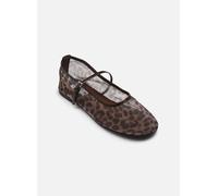 Ballerines Steve Madden Mash pour Femme 36 Marron