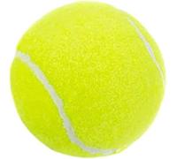 Balles de tennis de table élastiques sans pression pour entraînement en vrac pour jeunes débutants