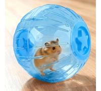 Balles d'exercice pour hamster - Roue transparente pour gerbilles et souris, jouet d'activité durable pour petit animal de compagnie avec trous respirants, accessoires de jeu d'intérieur mignons