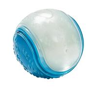 Balles lumineuses dans l'obscurité pour chiens | Jouets caoutchouc qui couine lumineux - Balles Interactives pour Chien | Pour plage, piscine, parc, jardin, maison, intérieur, extérieur - Anti-ennui