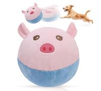 Balles pour Chien Balle à rapporter gonflable résistante aux déchirures en | pour chien d'extérieur de rapport dressage éducation extérieur jardin