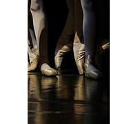 Ballet Pointe Shoes: 150 Page Lined 6 X 9 Notebook/Diary/Journal