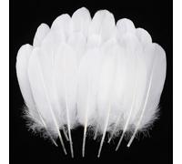Ballinger Plumes d'oie Blanche Naturelle Servir à Réaliser,120Pces,15-20 cm | Plumes Blanches En Vrac Pour L'artisanat, Centres De Table De Mariage, Ailes D'ange et Attrape-Rêves.