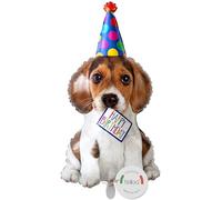 balloa Ballon gonflable XXL en forme de chien Happy Birthday, ballon à l'hélium, décoration d'anniversaire pour fête d'enfant, garçons et filles, décoration de fête animale, 92 cm