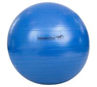 Ballon à poignée pour cheval Jolly Mega Bleu TU