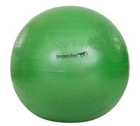 Horsemen's Pride Jolly Mega Ball - Vert, 101,6 cm