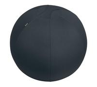 Ballon d'assise ergonomique anti-basculement - Gris - Leitz Ergo