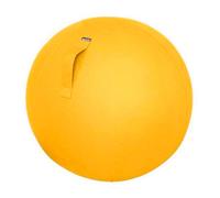 Ballon d'assise ergonomique Leitz Ergo Cosy 65 cm