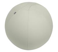 Ballon d'assise Leitz Ergo Active, fonction anti-basculement, alternative ergonomique à la chaise de bureau, diamètre 75 cm, housse en tissu, pompe à air manuelle, 2 bouchons, Gris Clair, 65430085