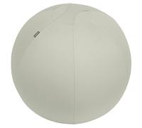 Ballon d'assise Leitz Ergo Active, fonction anti-basculement, alternative ergonomique à la chaise de bureau, diamètre 65 cm, housse en tissu, pompe à air manuelle, 2 bouchons, Gris Clair, 65420085