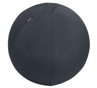 Ballon d'assise Leitz Ergo Active, fonction anti-basculement, alternative ergonomique à la chaise de bureau, diamètre 55 cm, housse en tissu, pompe à air manuelle, 2 bouchons, Gris Foncé, 65410089