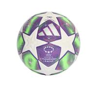Ballon de football adidas UEFA Champions League Pro Blanc Taille 5 Unisex
