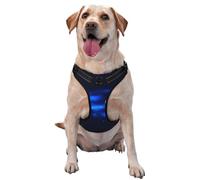Ballon de Football en feu,Harnais pour Animaux de Compagnie, Harnais réfléchissant réglable pour Chien,XL