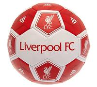 Ballon de Football Liverpool FC Taille 3 HX