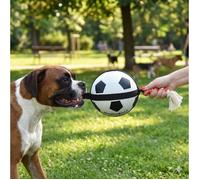 Ballon de football matchball pour chien 20 cm avec corde