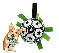 Ballon de football pour chiens | avec pompe à air et étiquettes | Puzzle interactif pour entraînement aquatique, entraînement, cour, piscine, parc, arrière-cour