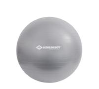 Schildkröt Fitness - Ballon de gymnastique - Entraînement fonctionnel - 55 cm - Gris clair