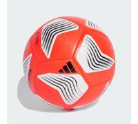Ballon d'entraînement Predator Lucid Red / Silver Metallic / Black / White 5