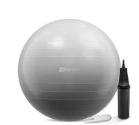 Hop-Sport Ballon de Fitness 65 cm HS-R065YB avec Pompe à air, Anti-éclatement, Ballon de Gymnastique Antidérapant pour Yoga, Pilates et Renforcement Musculaire, Charge max. 100 kg, Argenté Argenté G