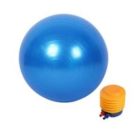 Ballon Fitness - Boule de yoga lisse - 65 cm - Bleu - Usage intensif