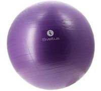 Ballon Sveltus Gymball parme 75cm Violet Lilas Parme Taille : Unique Violet Lilas Parme G