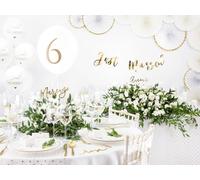 Ballons 30cm avec impression Just Married set de 6 ballons blanc / or