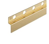 BALNEO Bande de Douche Inox - Découpable à Souhait - Profil Incliné Profil en Coin Bande de Douche Inox - Découpable pour la Cabine de Douche - Facile à Nettoyer - Sûr - Droite - 1,2x170x3 cm - Or