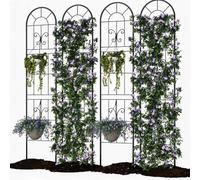 Baloveby Tuteur De Jardin En Fer 140x30 cm - Robuste Et Antirouille, Croissance Verticale Gain De Place, Pour Toutes Plantes Grimpantes, Design Ornemental à Volutes, Et Montage Facile Sans Outils.