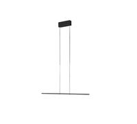 Baltensweiler LET D 100 Pendelleuchte, noir, Long, 2700K