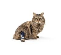 Balto Attelle de cheville pour chat - Attelle avec attelles en aluminium - Pré/post-chirurgie aide à soutenir l'arthrite et les articulations instables - Support arrière de jambe (taille XS)