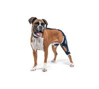 Balto Jump Dog Genouillère orthopédique pour chiens de taille moyenne - Stabilisateur de jambe réglable pour douleurs articulaires, récupération après blessure et arthrite - Approuvé par les