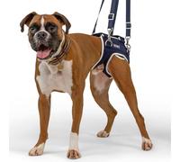 Balto Life Hip Dysplasia Brace - Harnais de soutien des hanches pour chien - Attelle de compression réglable à l'extrémité postérieure - Répartit le poids uniformément pour prévenir de nouvelles
