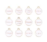 Baluue 12 Pcs Pendentifs de Bijoux Soi-même en Alliage Blanc Signes du Zodiaque, Faciles à Utiliser et Résistants la Décoloration pour Création de Bracelets Uniques